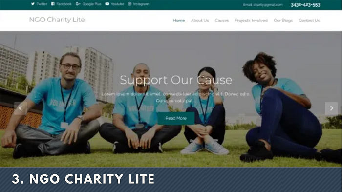 NGO Charity Lite wordpress themes